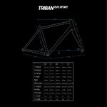 geometry_road-TRIBAN-Evo.jpg