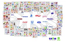 Behind-the-brands-illusion-of-choice-graphic-2048x1351.jpg