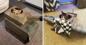 cardboard-tanks-and-planes-for-cats-are-a-thing-now-and-cats-are-ready-to-conquer-the-world.jpg