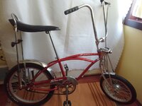 Schwinn 1.jpg