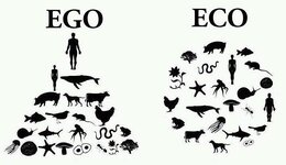 Ego - Eco.jpg