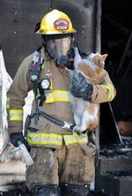 cat-fireman.jpg