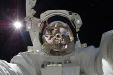 selfportrait_iss032_960.jpg