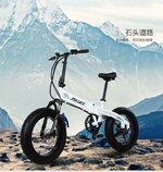 fat e-bike.jpg