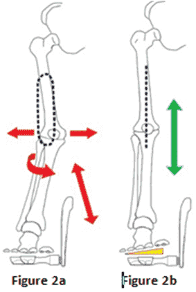 Bikefit_83_2882019397.png